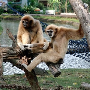 Zoologická zahrada